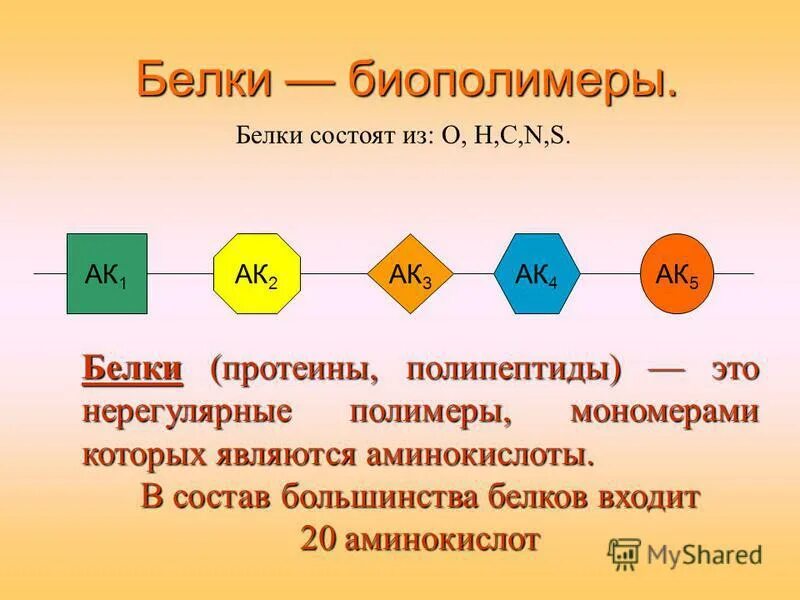 Белки это полипептиды. Белки строение мономера. Белки мономеры и полимеры. Белки биополимеры.