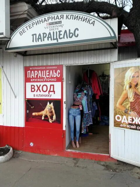 45-й стрелковой дивизии, 125. ветеринарная клиника. ветклиника сова. ветеринарная клиника воронеж. ветклиника воронеж работа.