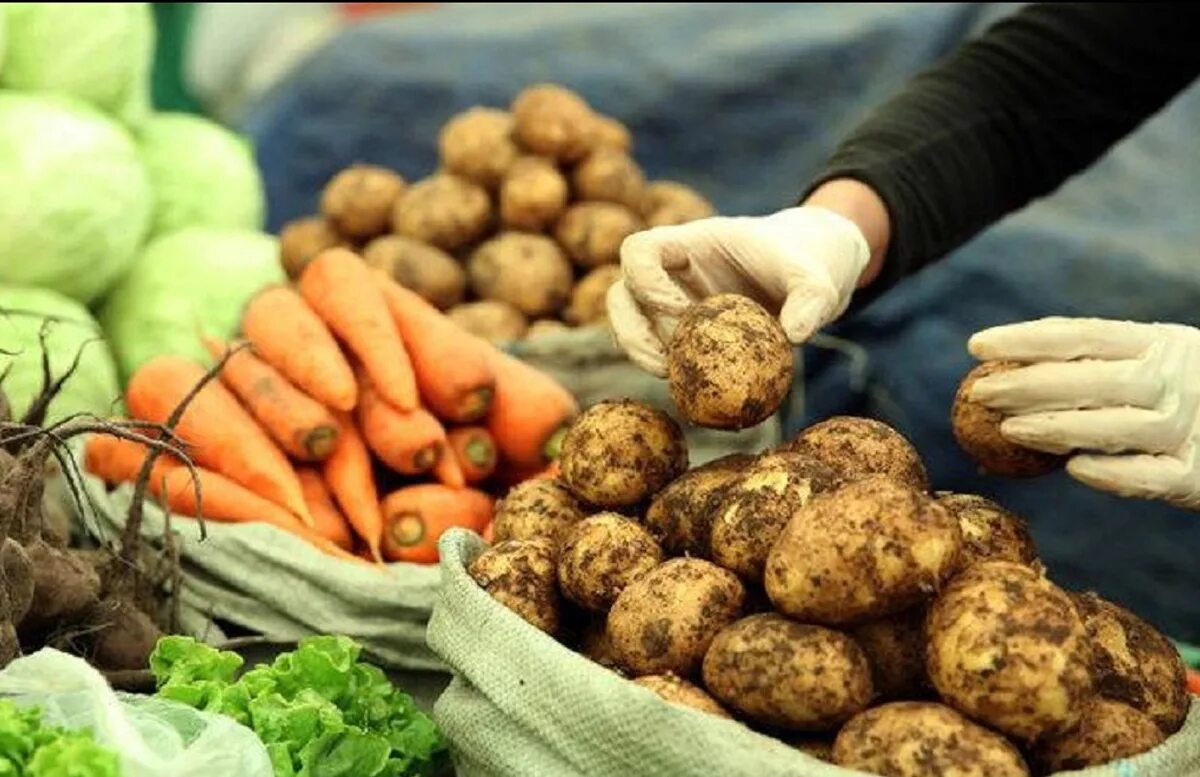 Как стать овощем. Овощи картофель. Картошка с овощами. Продукты овощи картошка лук. Картофель на прилавке.