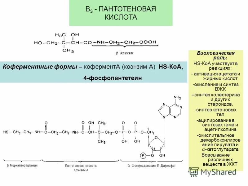 Коа 5. Кофермент витамина пантотеновая кислота. Пантотеновая кислота формула кофермента. Коферментные формы витамина b3.