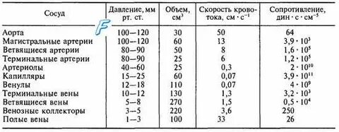 Самое большое давление в сосудах