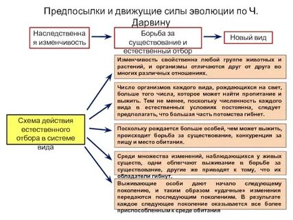 Направляющая движущая сила эволюции