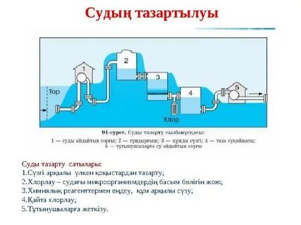 Судья Зваричтің жынысы