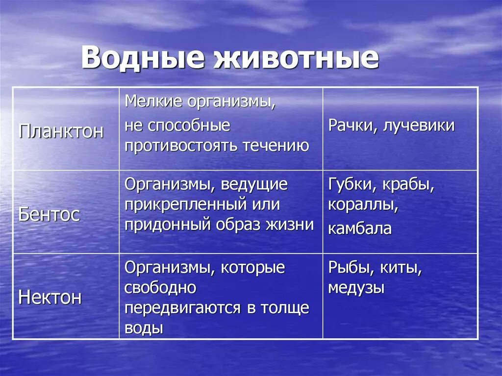 Планктон Нектон бентос таблица. Экологические группы планктон Нектон бентос. Планктон примеры организмов. Бентос Планкитон Пентон. Особенности обитания живых организмов в океане