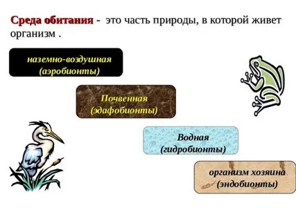 Установите наличие связи между средой обитания