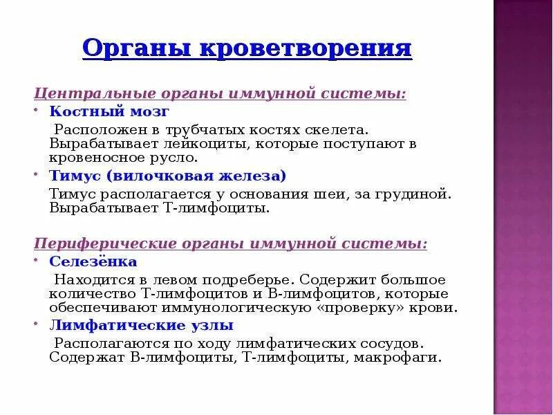 К органам кроветворения относят. Центральные и периферические органы кроветворения и иммунной защиты. органы кроветворения. классификация органов кроветворения. центральные органы кроветворени.