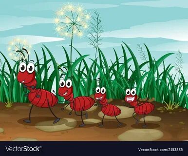 4 ants