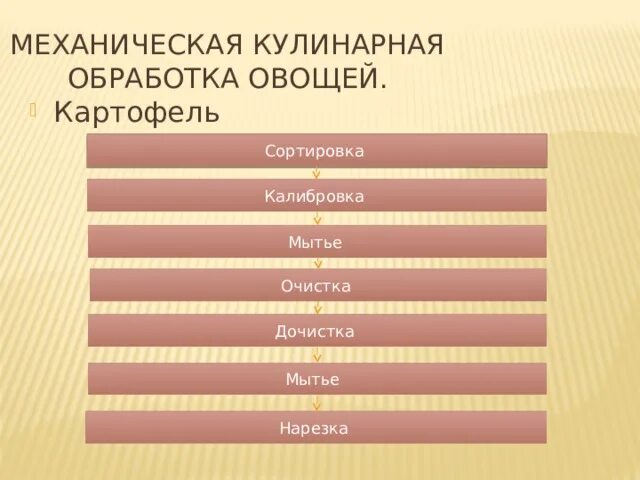 Схема подготовки моркови. Механическая кулинарная обработка моркови. Механическая кулинарная обработка корнеплодов. Схема механической кулинарной обработки зелени. Механическая кулинарная обработка корнеплодов.