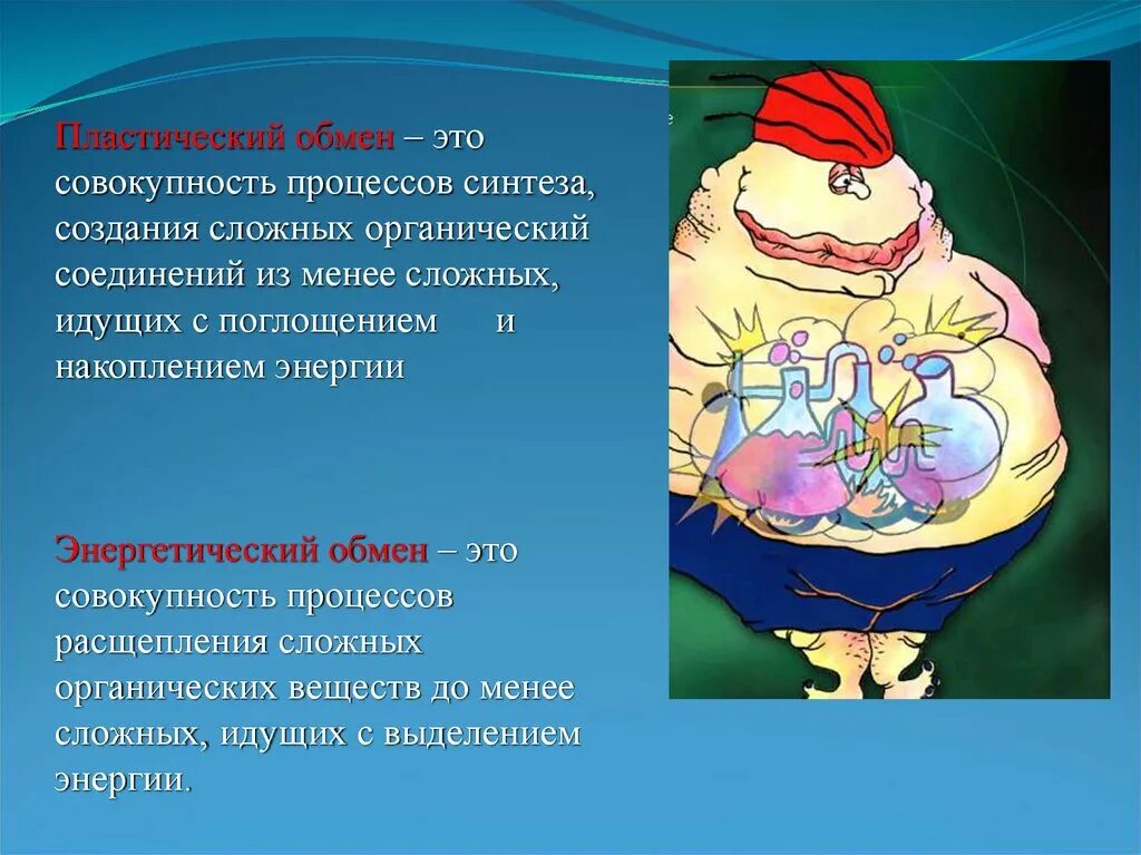 Пластический обмен веществ это процесс. Пластический обмен это Синтез. Пластический обмен совокупность процессов. Пластический обмен это процесс. Совокупность процессов биосинтеза органических веществ.