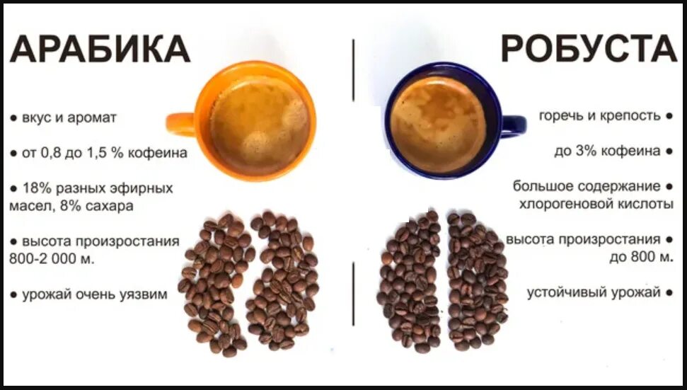 Кофе содержит кофеин. Сорта кофе в зернах арабика и робуста. количество кофеина в кофе. в растворимом кофе есть кофеин.