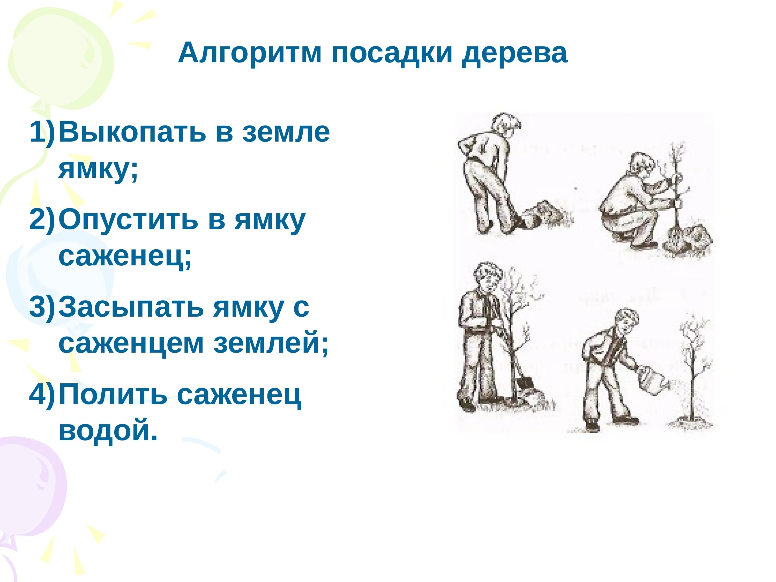 Посадка дерева алгоритм. Алгоритм посадки дерева. алгоритм посадить дерево. линейный алгоритм посадки дерева. составить алгоритм посадки дерева..