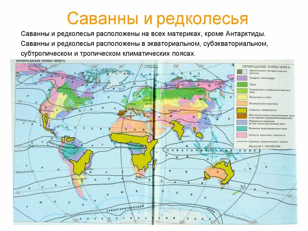 Саванны и редколесья природная зона карта. Зона саванн и редколесий в Африке на карте. Саванны и редколесья Евразии на карте. Саванна природная зона на карте. Описание редколесья