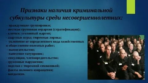 Криминальная молодежная субкультура