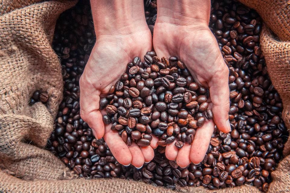 Вкусные сорта кофе. Кофе Арабика Эфиопия плантации. Кофейные зерна. Кофе в зернах. Сорта кофе.
