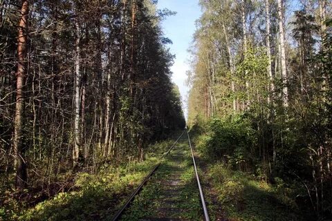 Дорогого или дорогово как