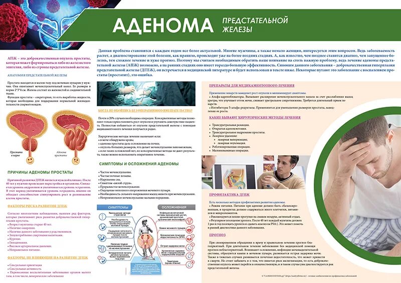 Простатит яиц. Санбюллетень аденома предстательной железы. Доброкачественная гиперплазия предстательной железы профилактика. Профилактика аденомы простаты. Профилактике гиперплазии простаты.