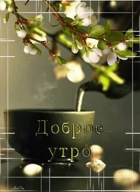 Красивые гиф с добрым весенним утром. Доброе весеннее утро. пожелания с добрым весенним утром. открытки с добрым утром весенние красивые. доброго весеннего дня.