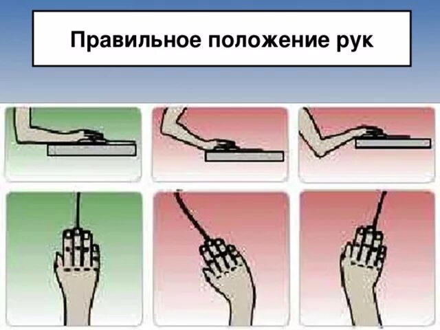 Правильное положение рук. Правильное положение кисти рук. Правильное положение руки на мышке. Правильное положение рук за клавиатурой.