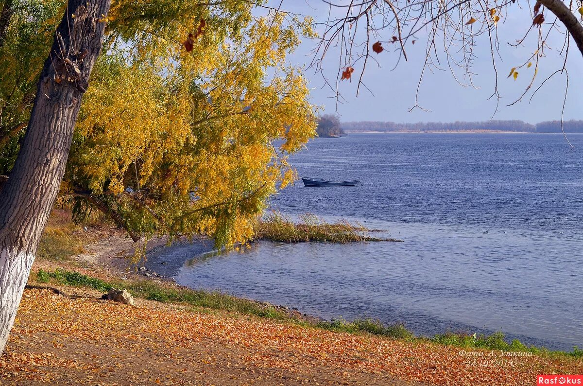 Поволжская природа. Осень Волга Вольск. Река Волга осень Саратов. Тольятти берег Волги. Волга река Самара осень.