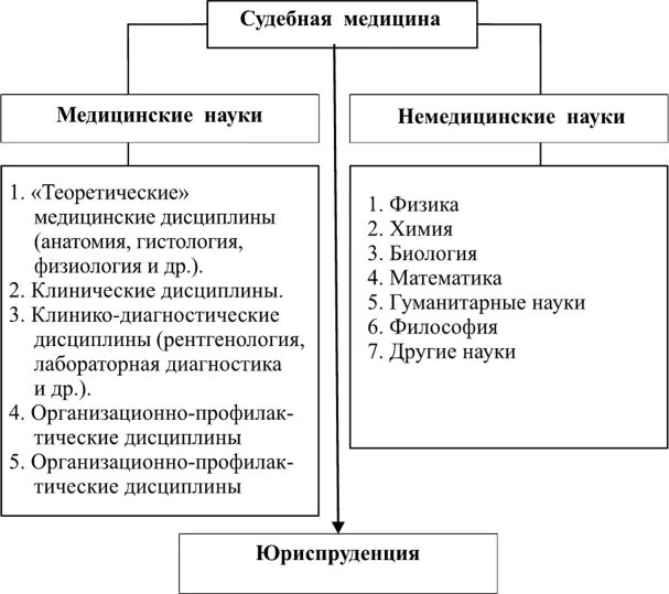 Понятие,предметы и задачи судебной медицины.. Содержание судебной медицины система предмета. Предмет, содержание и задачи судебной медицины система предмета. Методология судебной медицины.