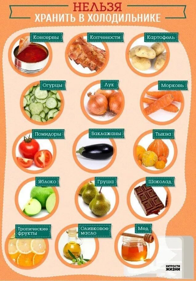 Какие продукты нельзя давать. Продукты которые нельзя хранить в холодильнике. продукты которые хранят в холодильнике. шпаргалки для хозяюшки. продукты которые не хранят в холодильнике.