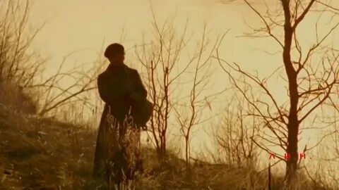 Черный ворон друг ты мой залетный