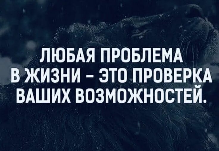 Многие люди и делают проблема