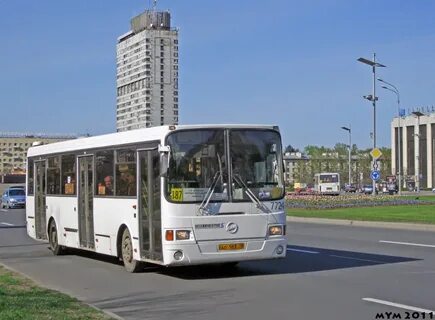 187 автобус спб