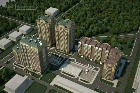 Лесной массив красноярск