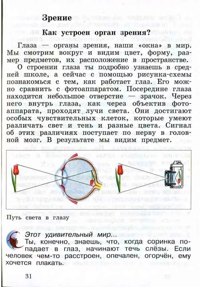 Окружающий мир 4 класс стр 75 81. Окружающий мир 4 класс учебник 1 часть Виноградова Калинова. Окружающий мир 4 класс 2 часть учебник Виноградова Калинова. Окружающий мир четвёртый класс часть первая. Виноградова Калинова. Окружающий мир 4 класс учебник 1 часть Виноградова.