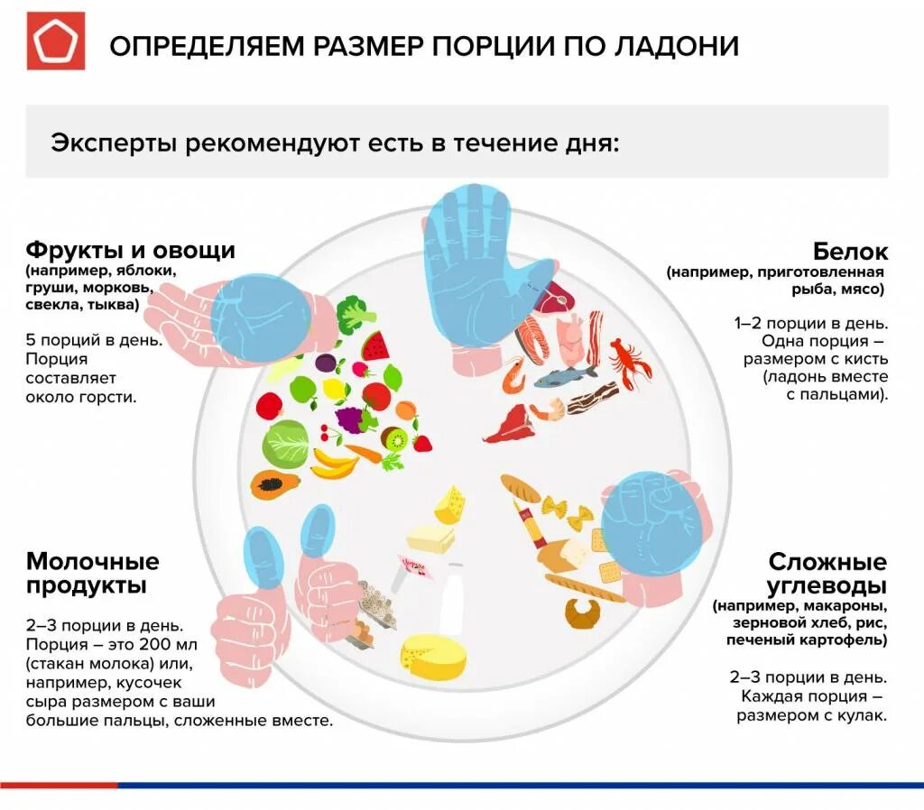 Размер порции при правильном. Размеры порций для правильного питания. Объем порций при правильном питании. Какой размер порции должен быть. Сколько грамм еды за прием