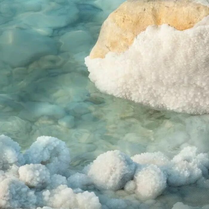 поваренная соль. археи в мертвом море. соль мёртвого моря. соль мёртвого моря. соль из мертвого моря.