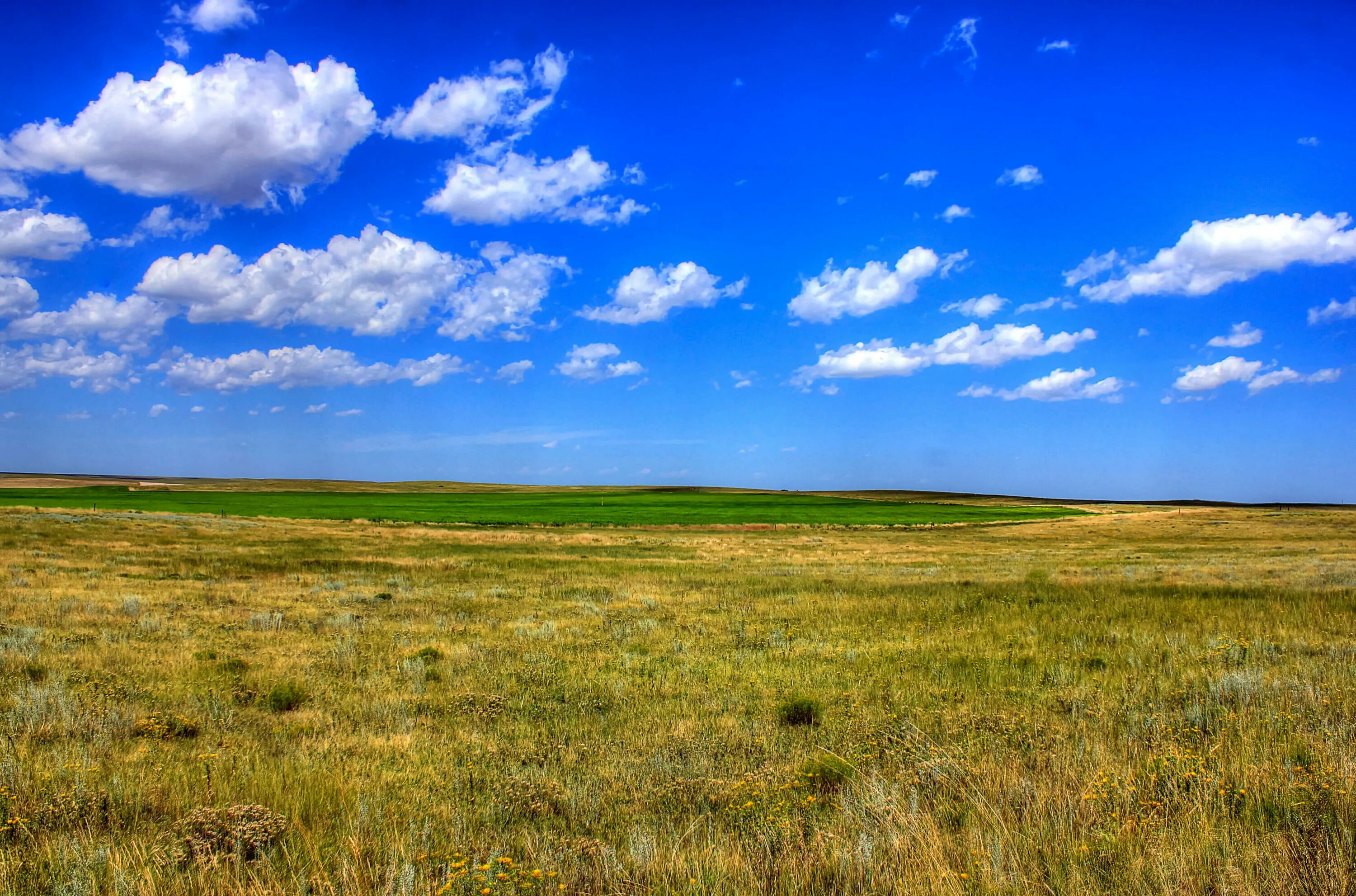 Равнины 200 500 метров. Мильская степь. Казахстан зеленая степь степь. Казахстан Степная равнина. Равнины Небраски.
