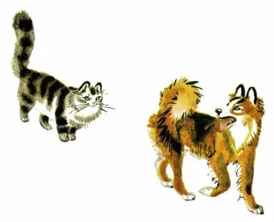 Жучка кошку