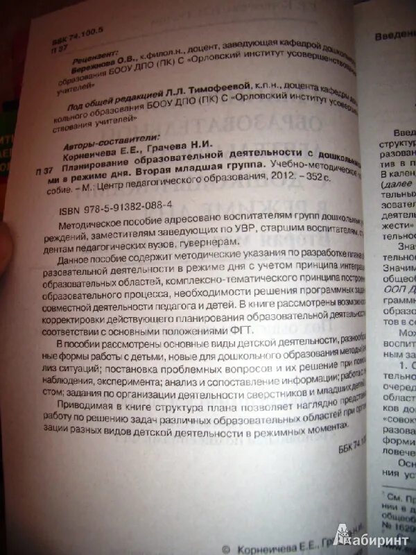 Корнеичева планирование образовательной деятельности. Планирование внеучебной деятельности с детьми в режиме дня. планирование деятельности вторая младшая корнеичева. планирование образовательной деятельности грачева.
