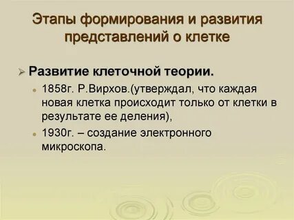Этапы формирования представлений