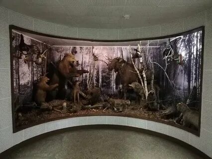 Ногинском музее