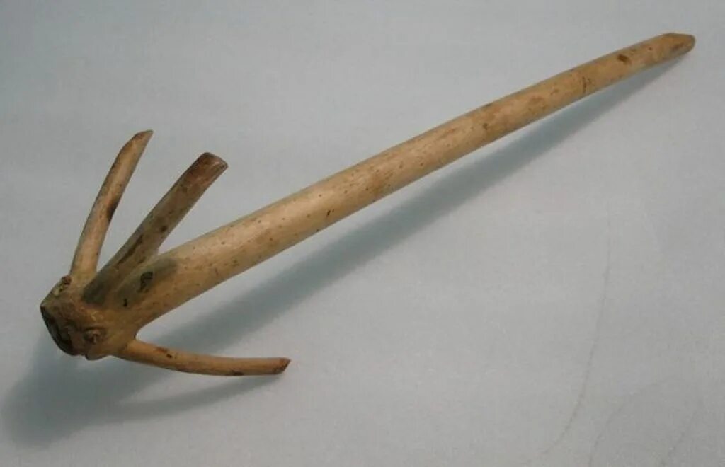 сиповка королек мутовка. рогатка мутовка. сиповка королек и мутовка различия фото. типы женских фигур рисунки. я ненавижу дом 2 песня.