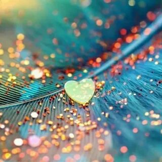 Love dp