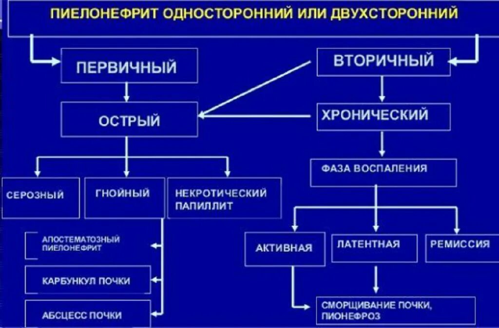 Острый пиелонефрит классификация. Острый Гнойный пиелонефрит классификация. Классификация Лопаткина пиелонефрита. Классификация пиелонефрита Лопаткин. Периоды пиелонефрита