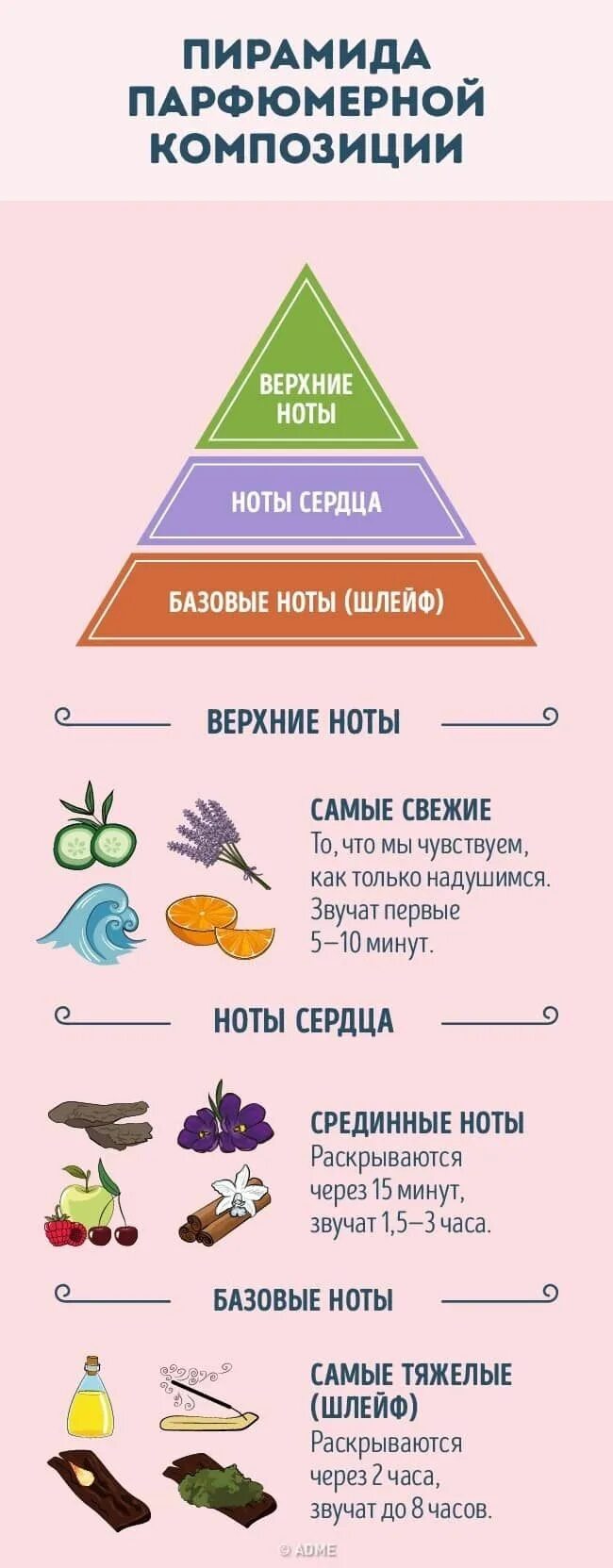 Ноты аромата духов. Базовые ноты в парфюмерии. верхние ноты в парфюмерии. свежие ноты в парфюмерии. ноты сердца в парфюмерии.