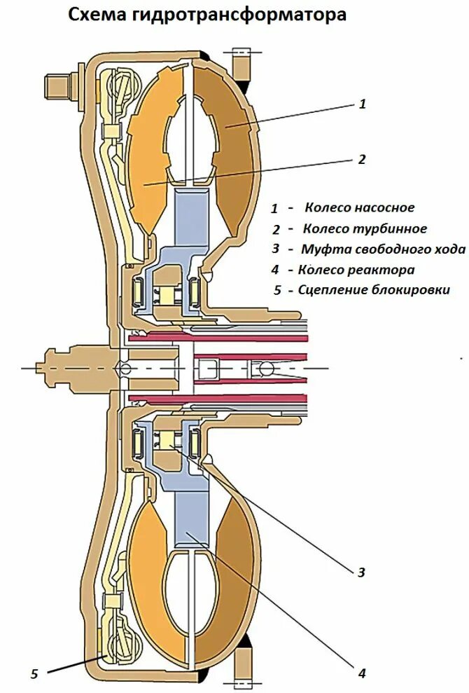 Гидромуфта принцип. Муфта свободного хода гидротрансформатора. Гидротрансформатор АКПП муфта блокировки гидротрансформатора. Гидротрансформатор АКПП принцип работы. Схема работы гидротрансформатора АКПП.