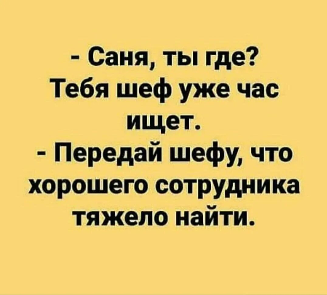 Увольнение работника. Staff linear удаленная работа. Тебя шеф уже час ищет передай. Хорошего сотрудника тяжело найти. Сложно найти работников.