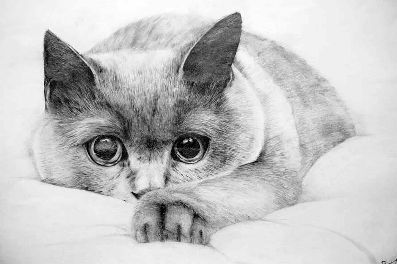 Красивые рисунки карандашом. Красивые несложные рисунки. Картины карандашом для срисовывания. Рисунок оч. Простые рисунки.