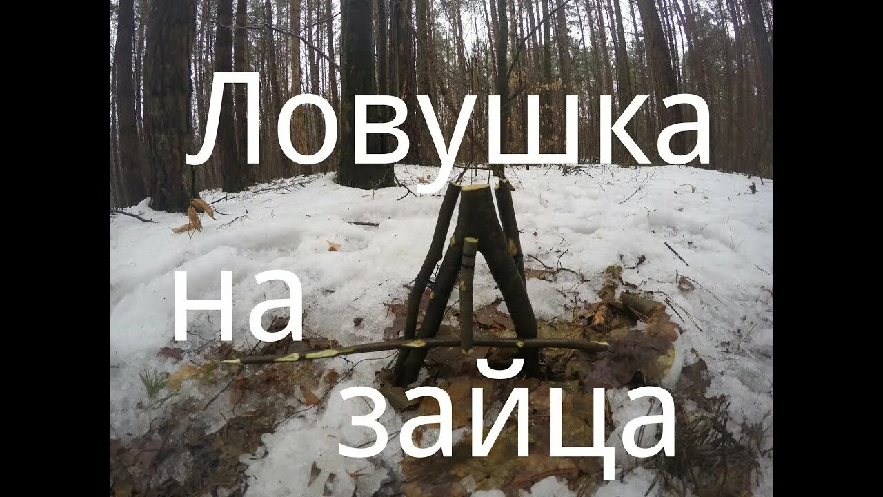 Силки на барабане. Ловушка по английски. Мэгги уилер ловушка для родителей. Слова ловушки в английском языке примеры. Колющие ловушки.