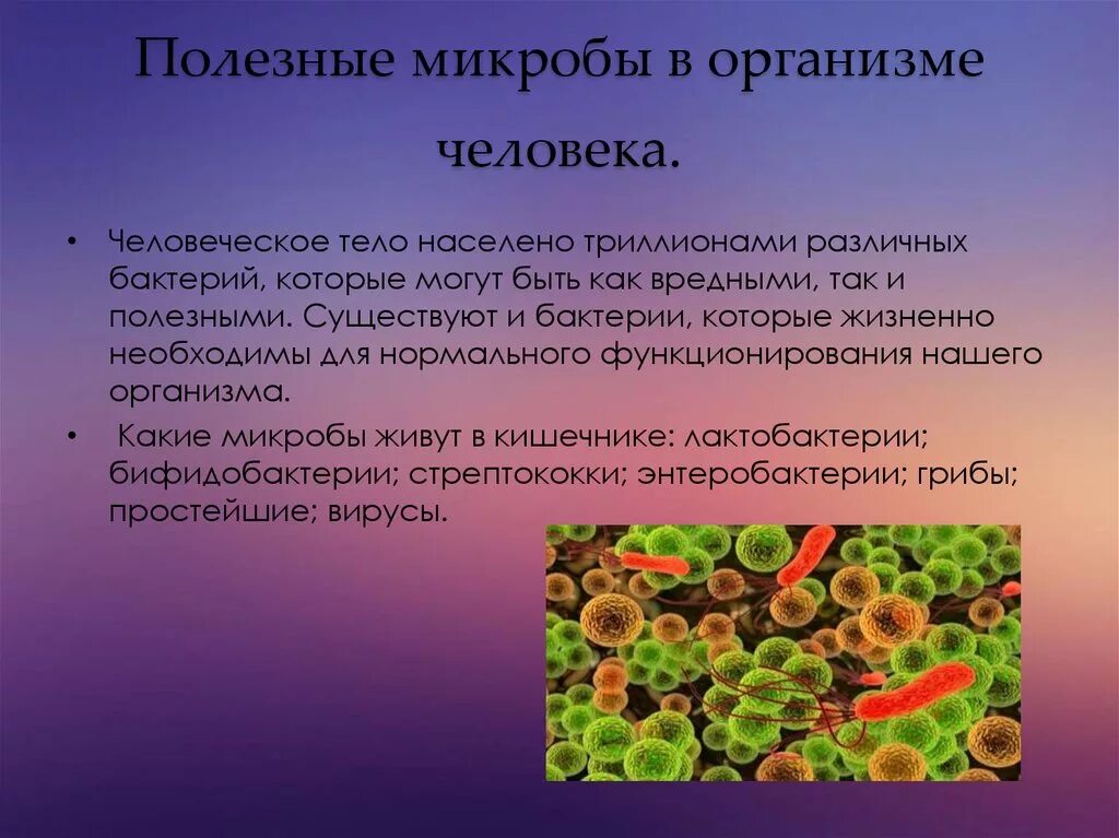 Польза живых организмов. Полезные бактерии для человека. Полезные бактерии для человека названия. Полезные и вредные бактерии. Полезные микробы.