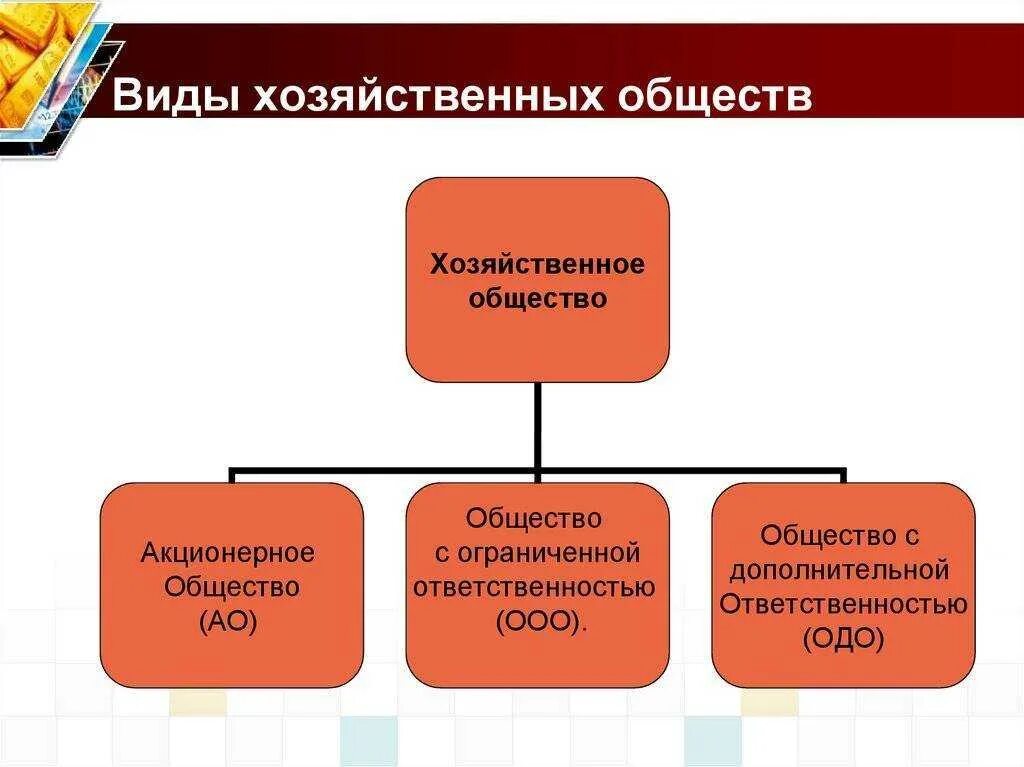 Виды ооо в рф. Формы предприятия вид хозяйственного общества. Укажите основные виды хозяйственных обществ:. Хозяйственные общества (сущность, виды)..