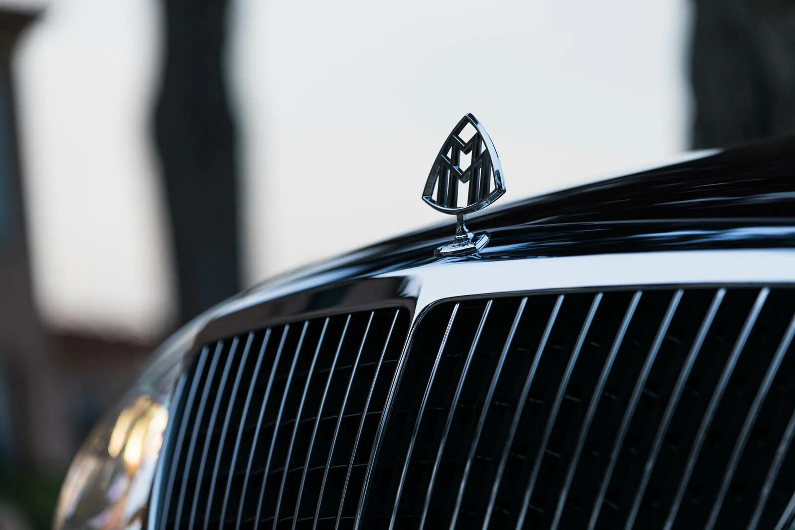 Майбах значок. Мерседес Майбах логотип. Майбах капот. Maybach 62 значок. Знак майбах