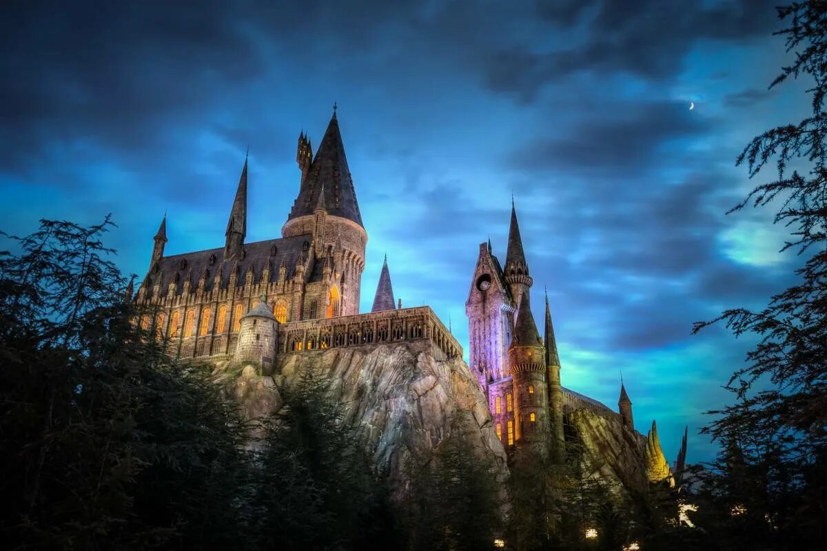 Водоросли hogwarts. Harry Potter Хогвартс.