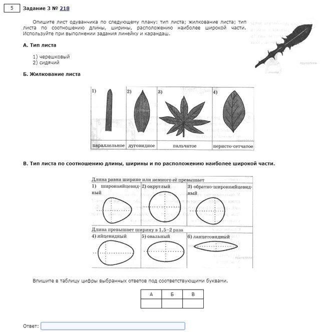 Впр по биологии 6 класс первый вариант